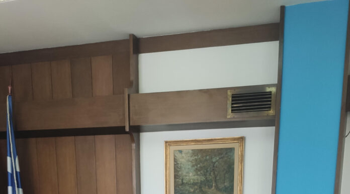 Izabel Šuman: Članstvo Srbije u EU bi ojačalo radnička prava u Srbiji